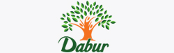 Paradise Packers and Movers Anna Nagar