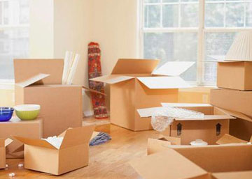 Domestic Shifting